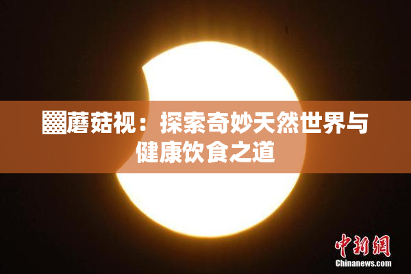 ▓蘑菇视：探索奇妙天然世界与健康饮食之道