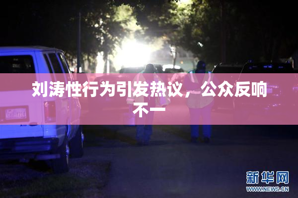 刘涛性行为引发热议，公众反响不一