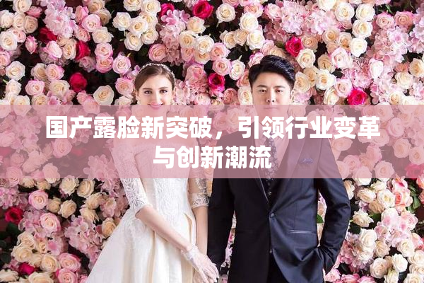国产露脸新突破，引领行业变革与创新潮流