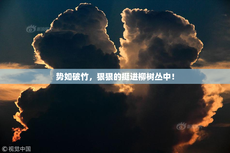 势如破竹，狠狠的挺进柳树丛中！