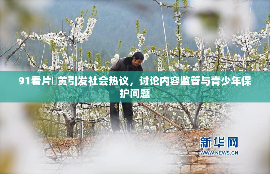 91看片婬黄引发社会热议，讨论内容监管与青少年保护问题