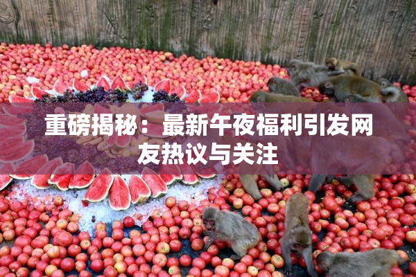 重磅揭秘：最新午夜福利引发网友热议与关注