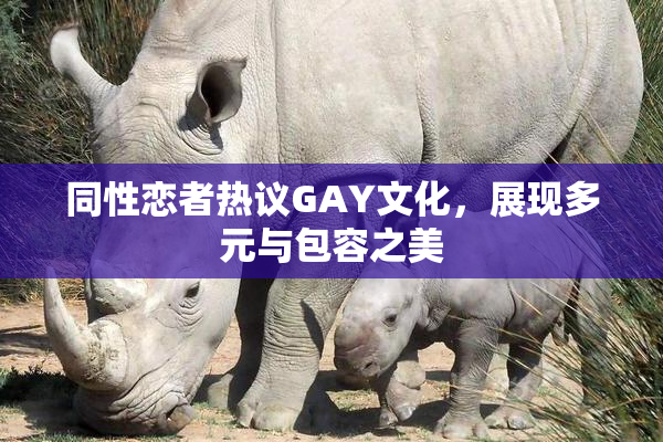 同性恋者热议GAY文化，展现多元与包容之美