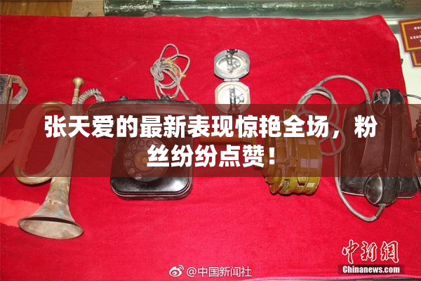 张天爱的最新表现惊艳全场，粉丝纷纷点赞！
