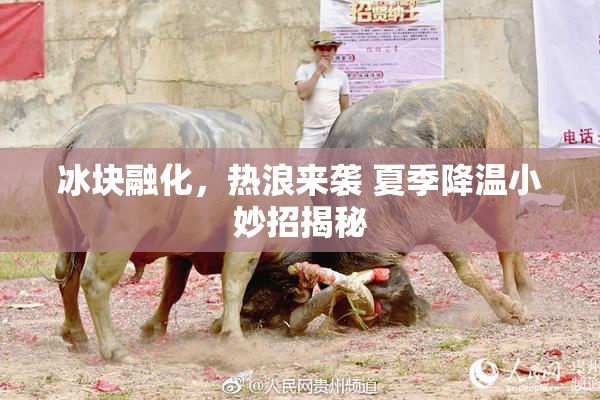冰块融化，热浪来袭 夏季降温小妙招揭秘