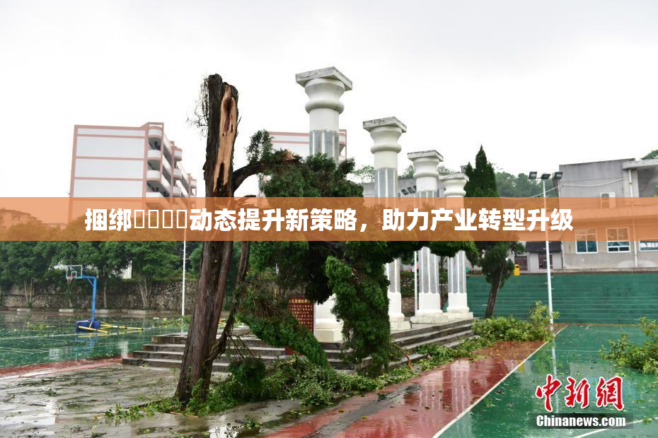 捆绑❌‌❌‌动态提升新策略，助力产业转型升级