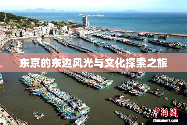 东京的东边风光与文化探索之旅
