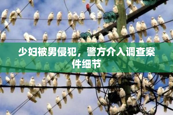 少妇被男侵犯，警方介入调查案件细节