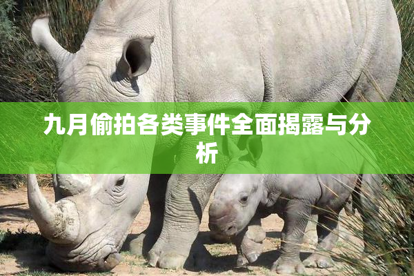 九月偷拍各类事件全面揭露与分析