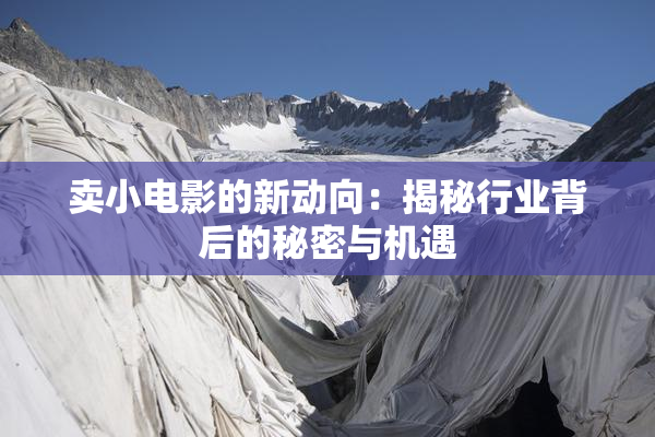 卖小电影的新动向：揭秘行业背后的秘密与机遇