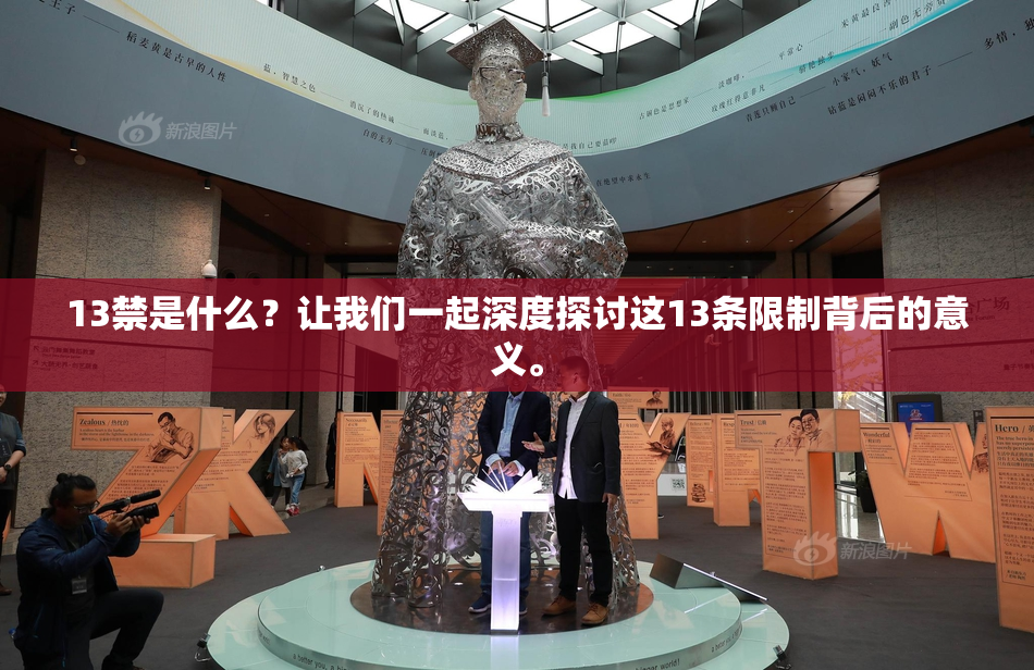 13禁是什么？让我们一起深度探讨这13条限制背后的意义。