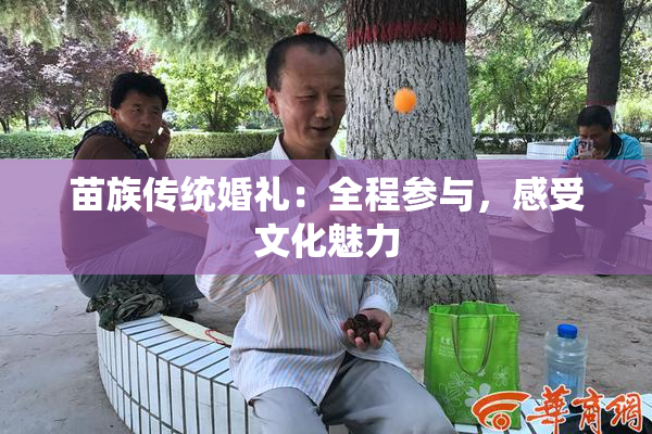 苗族传统婚礼：全程参与，感受文化魅力