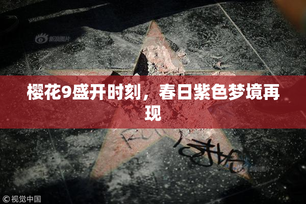 樱花9盛开时刻，春日紫色梦境再现