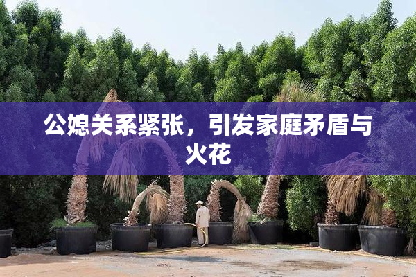 公媳关系紧张，引发家庭矛盾与火花