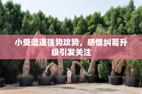 小受遭遇强势攻势，感情纠葛升级引发关注