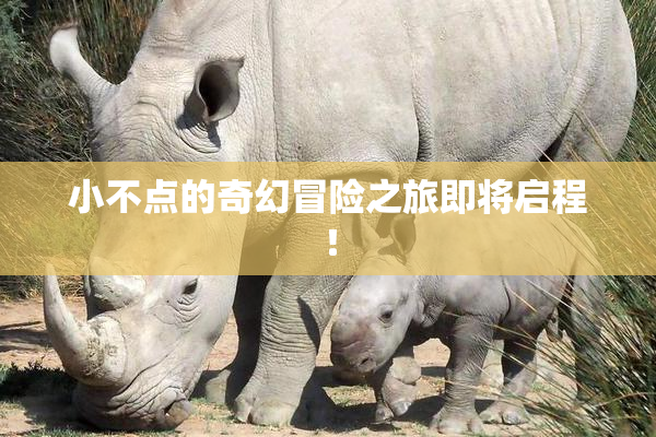 小不点的奇幻冒险之旅即将启程！