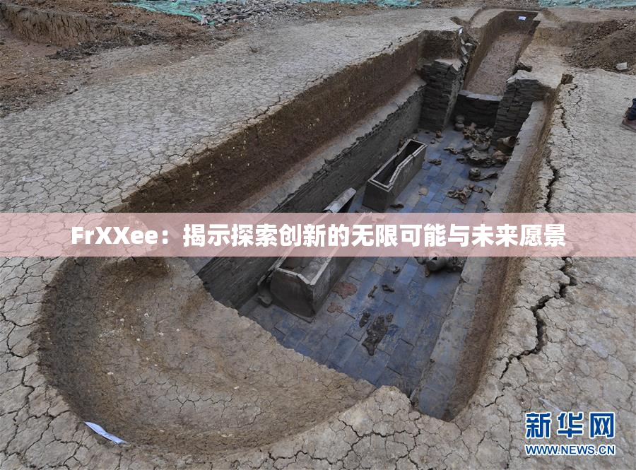 FrXXee：揭示探索创新的无限可能与未来愿景