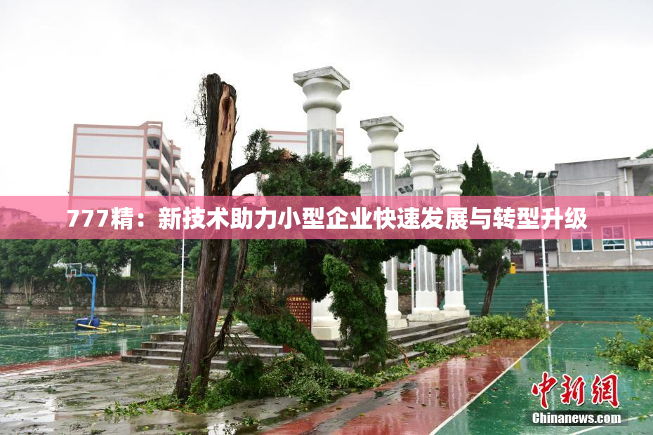 777精：新技术助力小型企业快速发展与转型升级