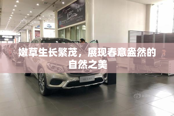 嫩草生长繁茂，展现春意盎然的自然之美