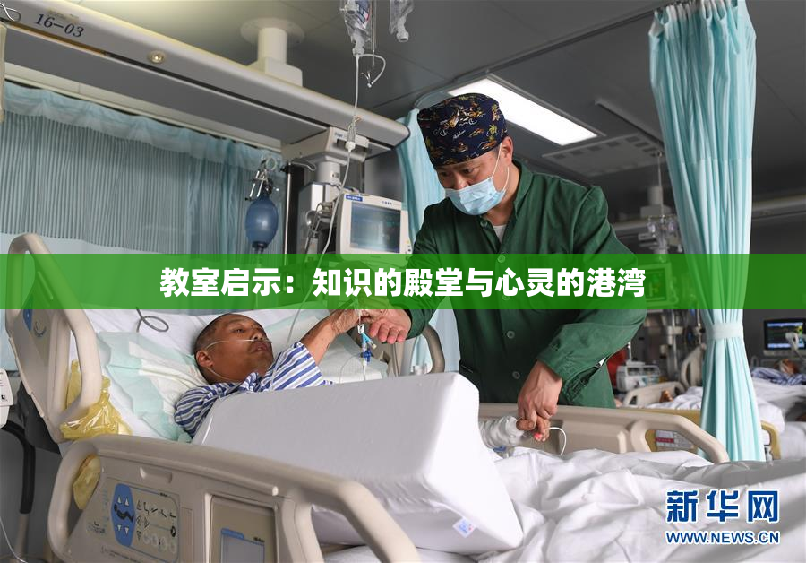 教室启示：知识的殿堂与心灵的港湾