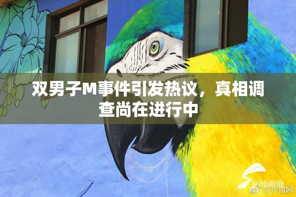 双男子M事件引发热议，真相调查尚在进行中