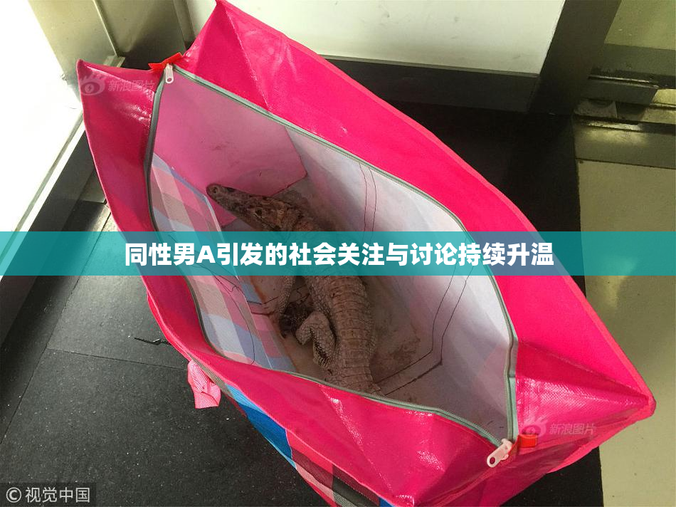 同性男A引发的社会关注与讨论持续升温