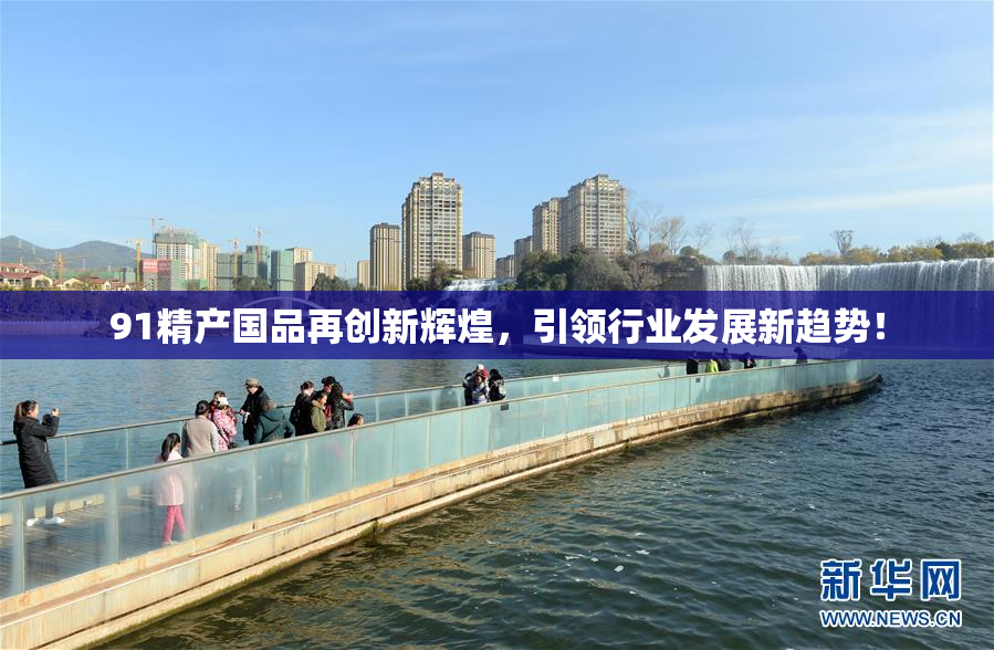 91精产国品再创新辉煌，引领行业发展新趋势！