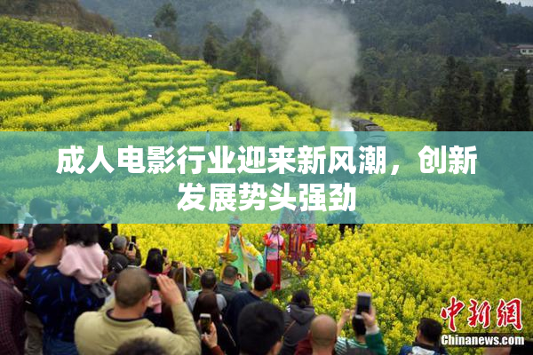 成人电影行业迎来新风潮，创新发展势头强劲