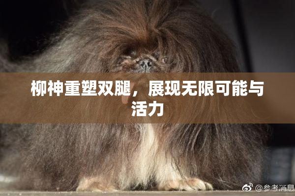 柳神重塑双腿，展现无限可能与活力