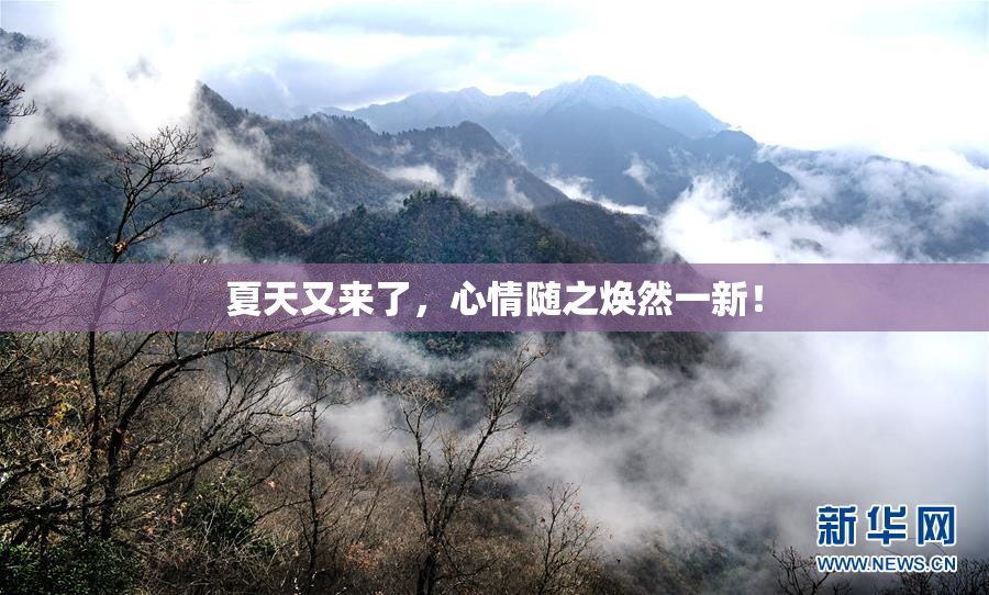 夏天又来了，心情随之焕然一新！