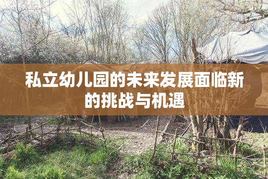 私立幼儿园的未来发展面临新的挑战与机遇