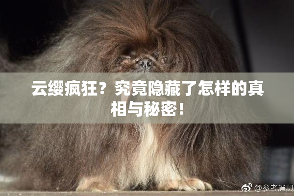 云缨疯狂？究竟隐藏了怎样的真相与秘密！