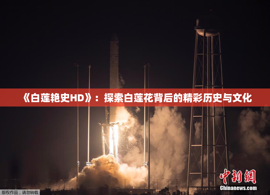 《白莲艳史HD》：探索白莲花背后的精彩历史与文化