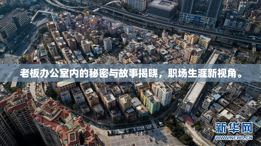 老板办公室内的秘密与故事揭晓，职场生涯新视角。