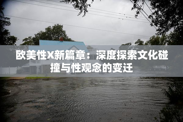 欧美性X新篇章：深度探索文化碰撞与性观念的变迁