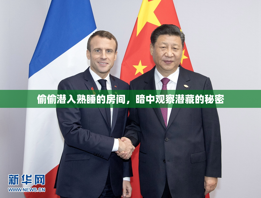 偷偷潜入熟睡的房间，暗中观察潜藏的秘密
