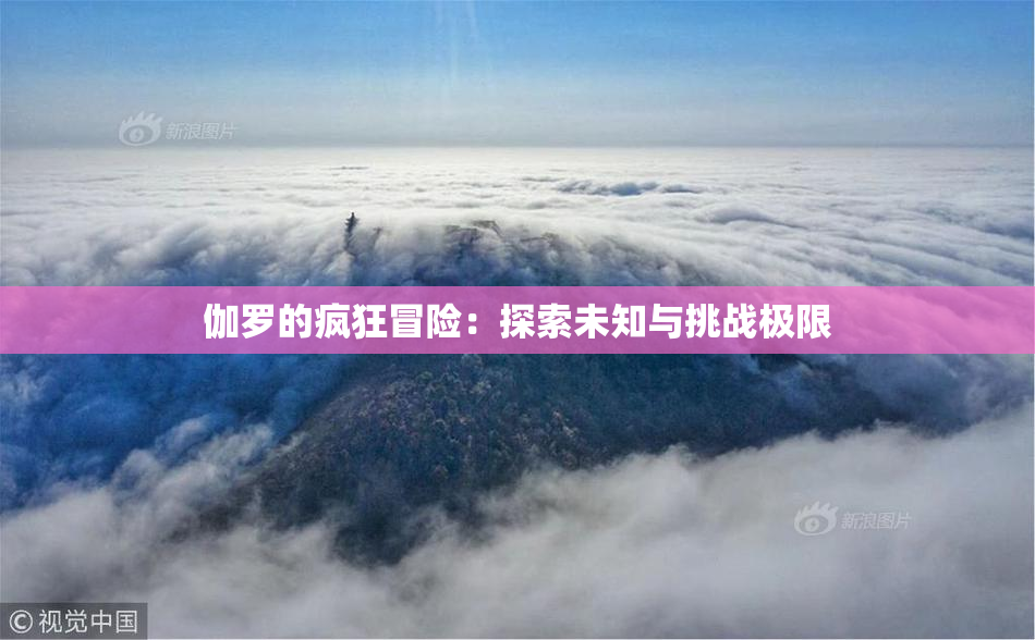 伽罗的疯狂冒险：探索未知与挑战极限