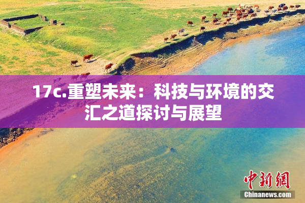 17c.重塑未来：科技与环境的交汇之道探讨与展望