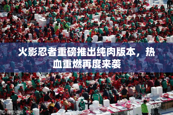 火影忍者重磅推出纯肉版本，热血重燃再度来袭