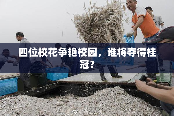 四位校花争艳校园，谁将夺得桂冠？