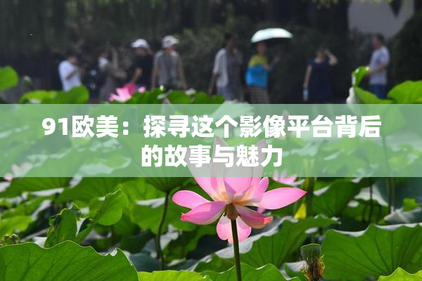 91欧美：探寻这个影像平台背后的故事与魅力