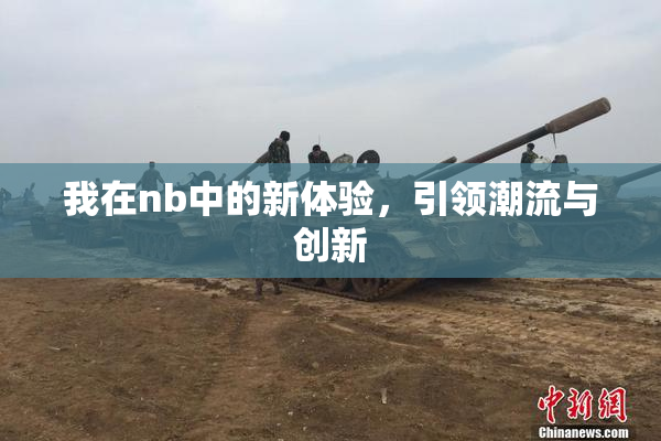 我在nb中的新体验，引领潮流与创新