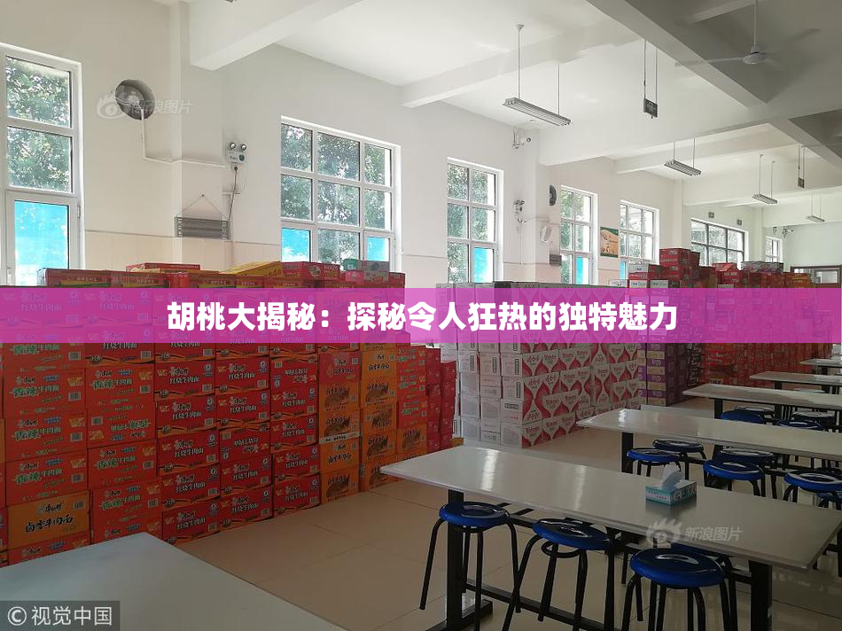 胡桃大揭秘：探秘令人狂热的独特魅力