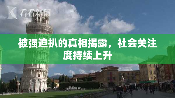 被强迫扒的真相揭露，社会关注度持续上升
