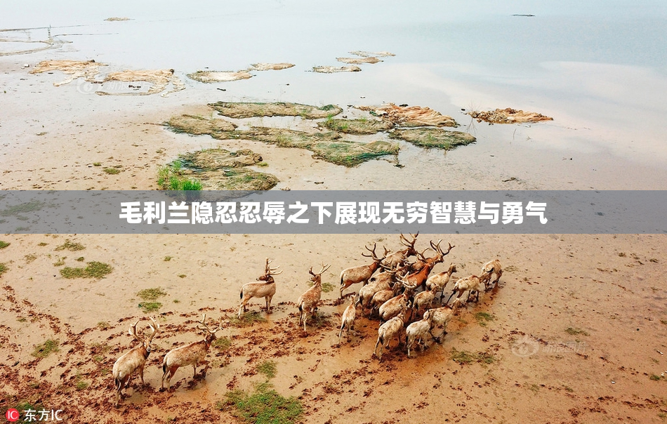 毛利兰隐忍忍辱之下展现无穷智慧与勇气
