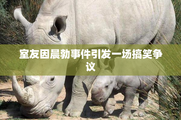 室友因晨勃事件引发一场搞笑争议