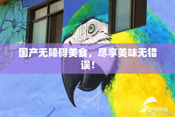 国产无障碍美食，尽享美味无错误！