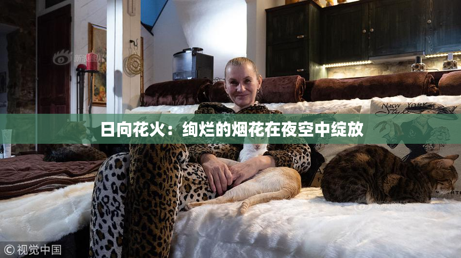 日向花火：绚烂的烟花在夜空中绽放