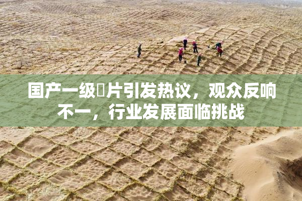国产一级婬片引发热议，观众反响不一，行业发展面临挑战