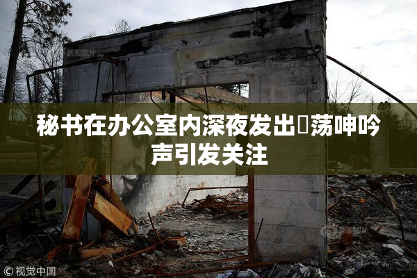 秘书在办公室内深夜发出婬荡呻吟声引发关注